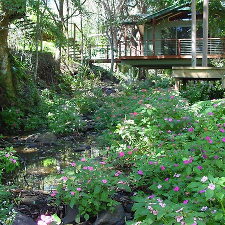 Treetops Montville Esterno foto