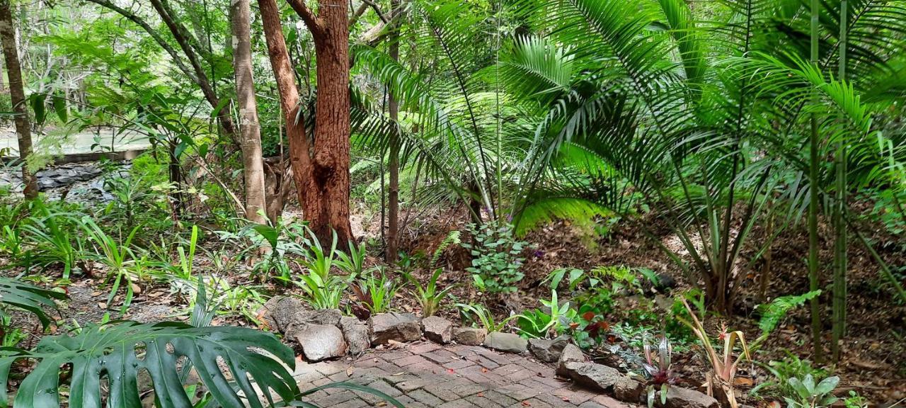 Treetops Montville Esterno foto