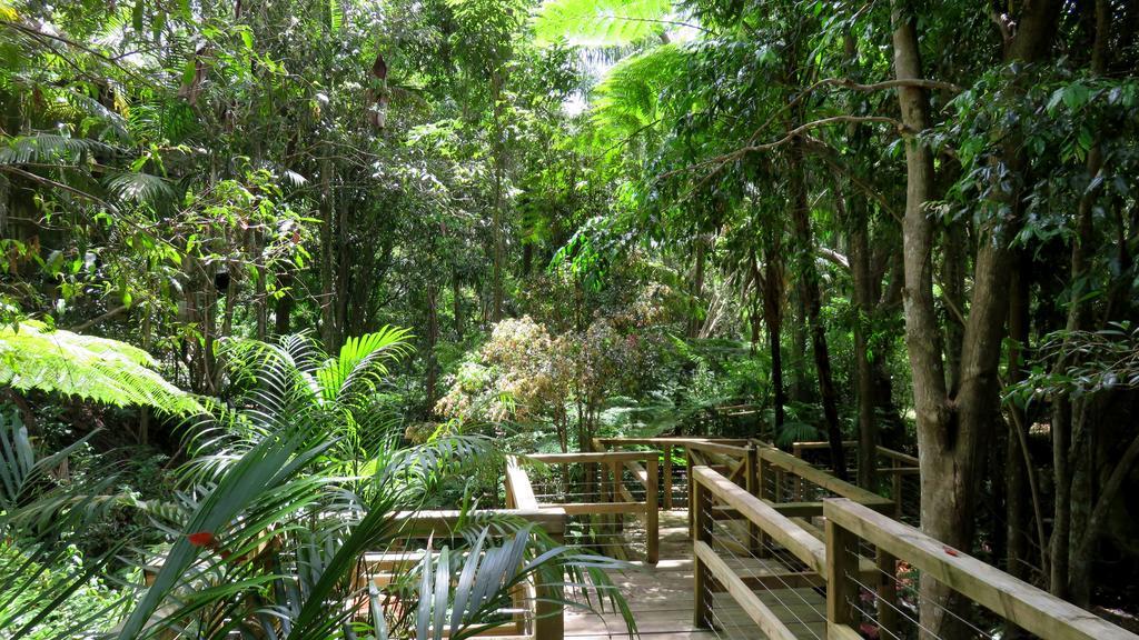 Treetops Montville Esterno foto