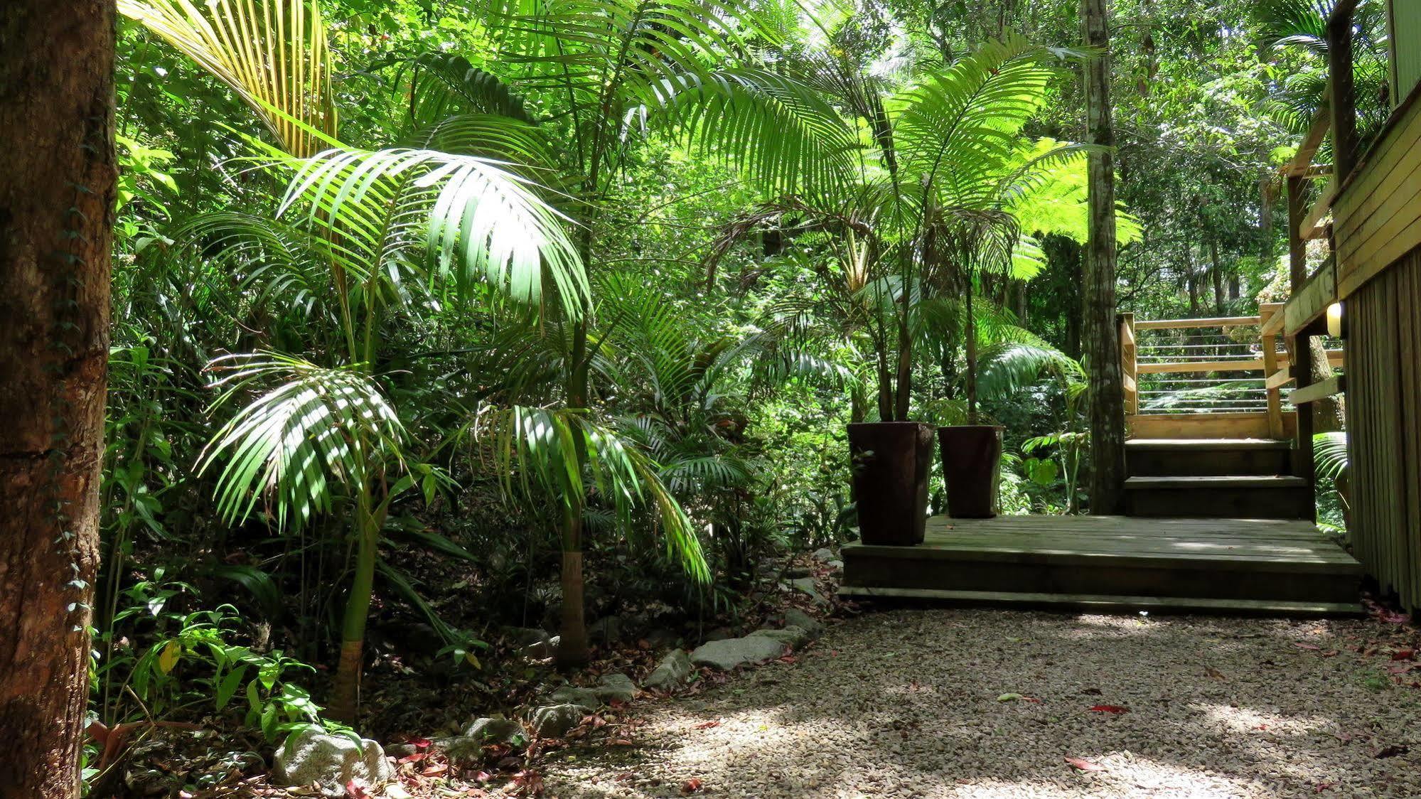 Treetops Montville Esterno foto