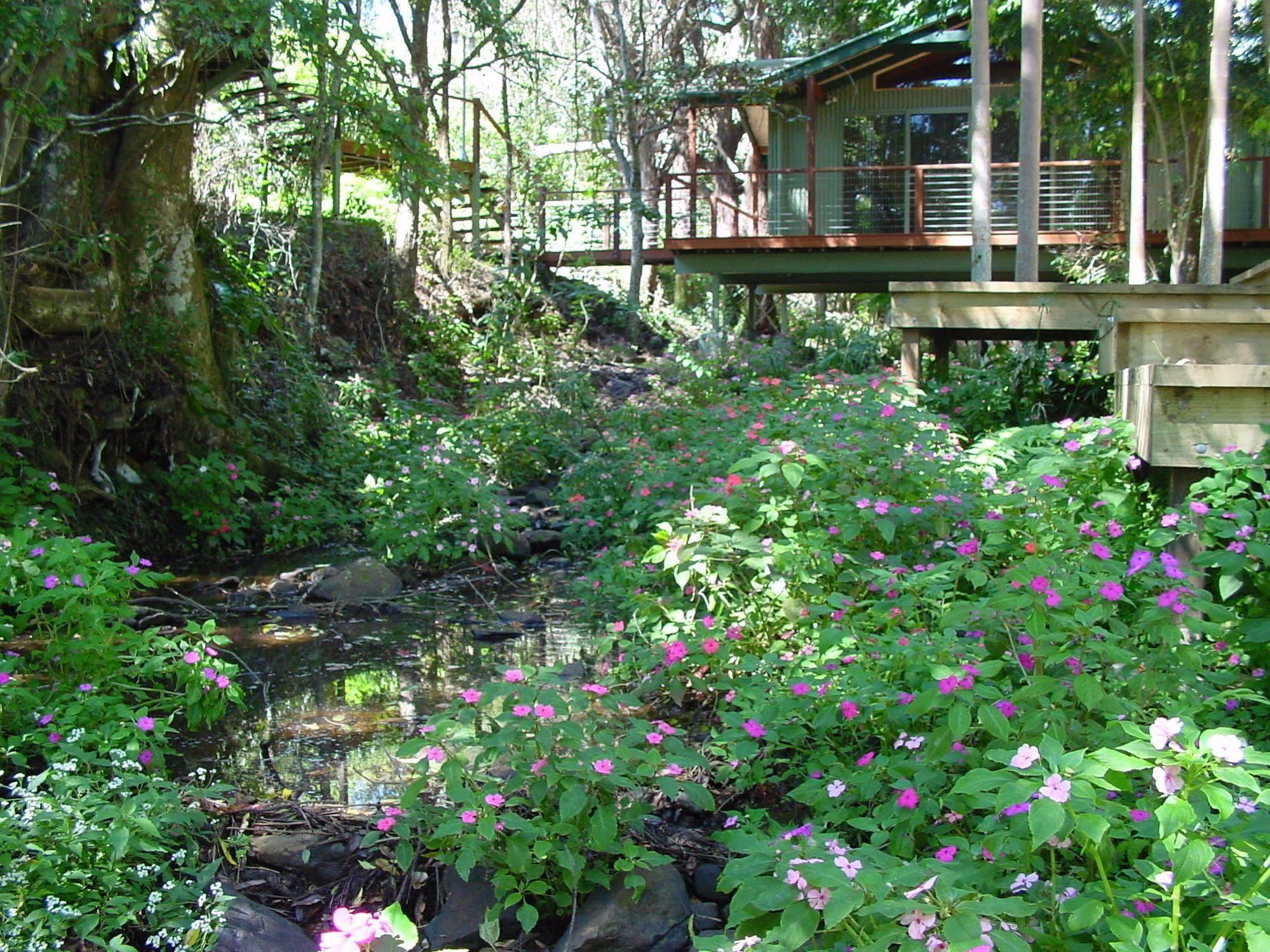 Treetops Montville Esterno foto