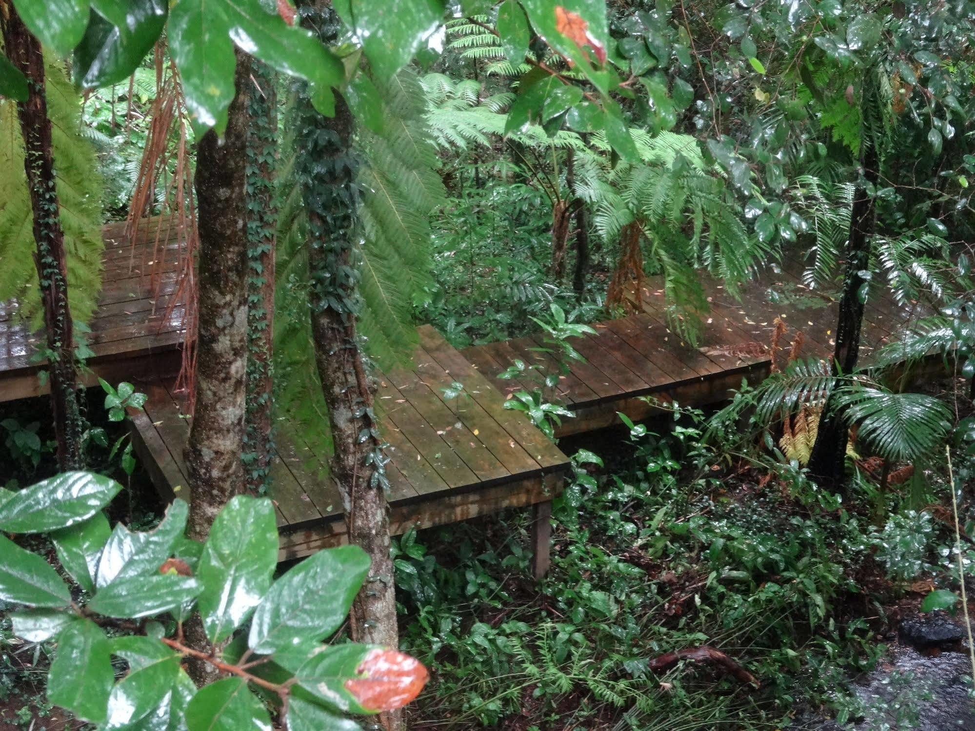 Treetops Montville Esterno foto