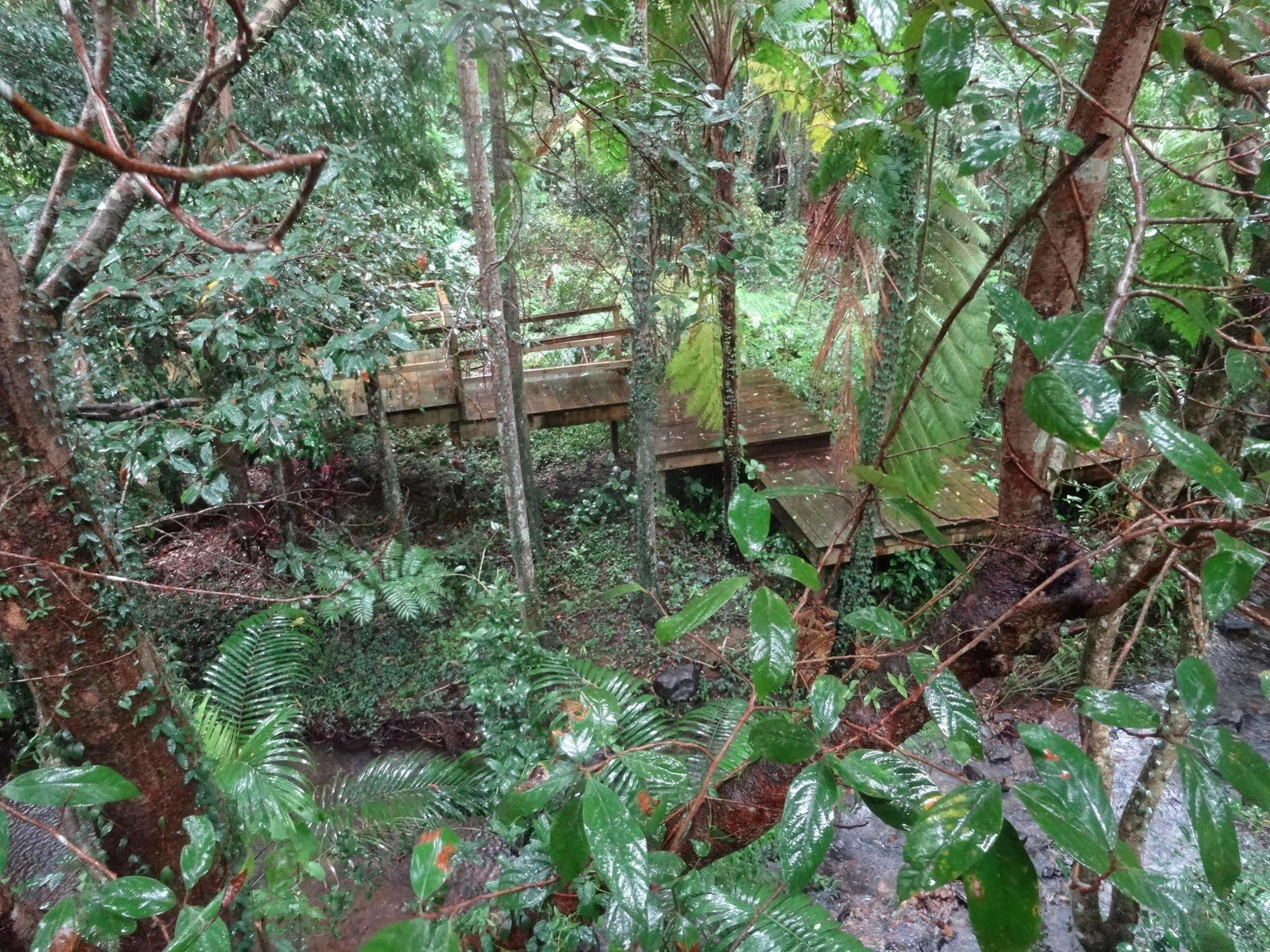 Treetops Montville Esterno foto