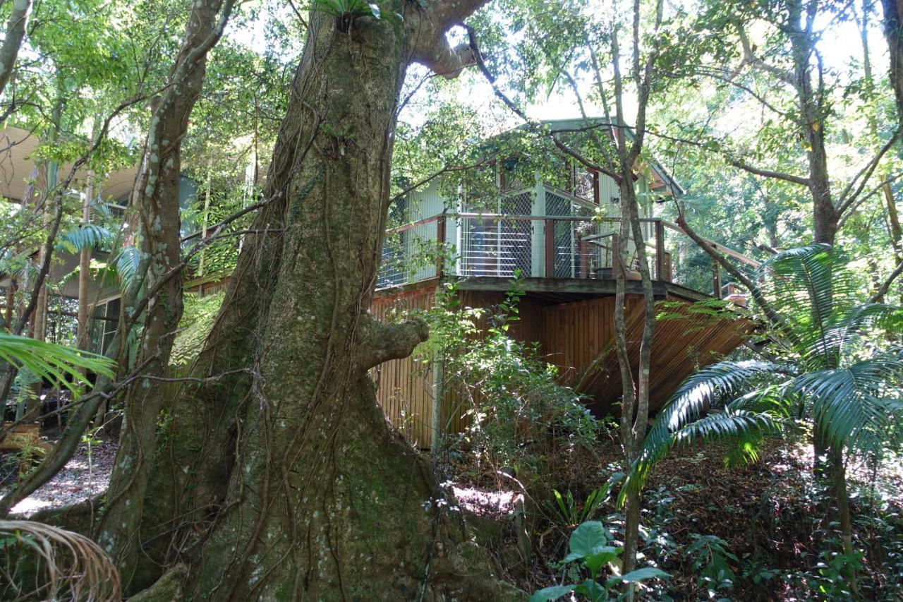 Treetops Montville Esterno foto